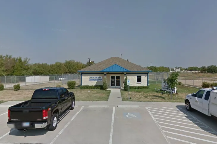 Lake Dallas Animal Control
