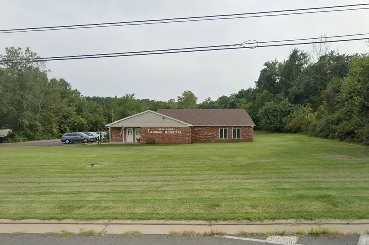 Blue Ridge Animal Hospital