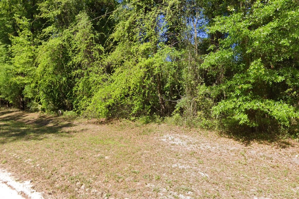 Gainesville Wilderness Institute School