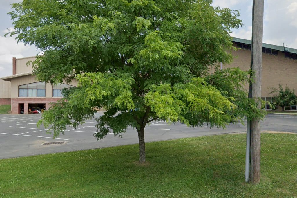 St Gregory's School