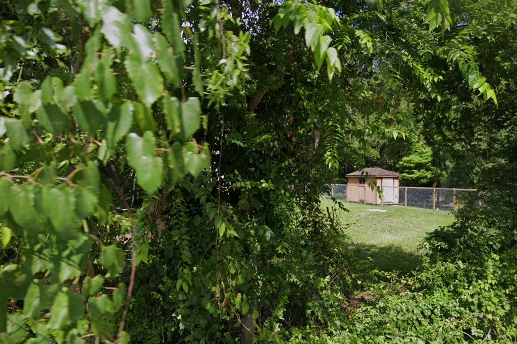 Einstein Montessori School