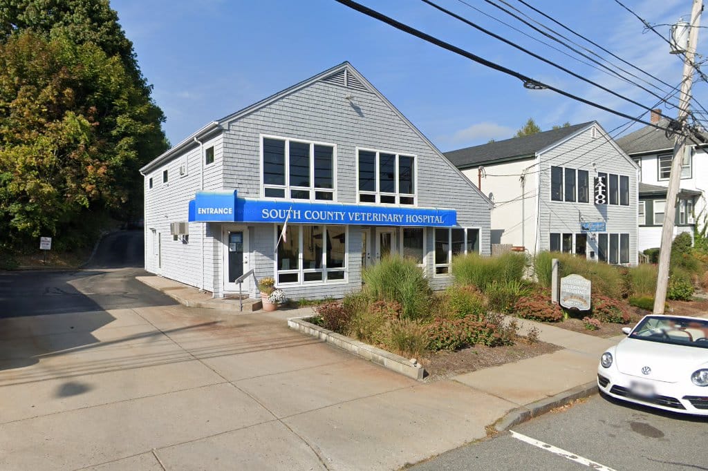 South County Veterinary Hospital