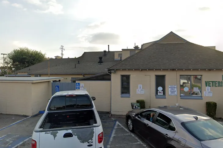 Downey Veterinary Hospital