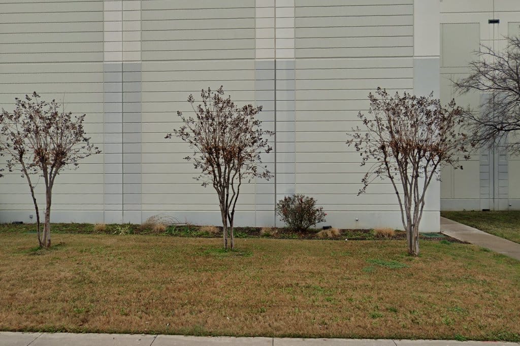 Goodwill Dallas