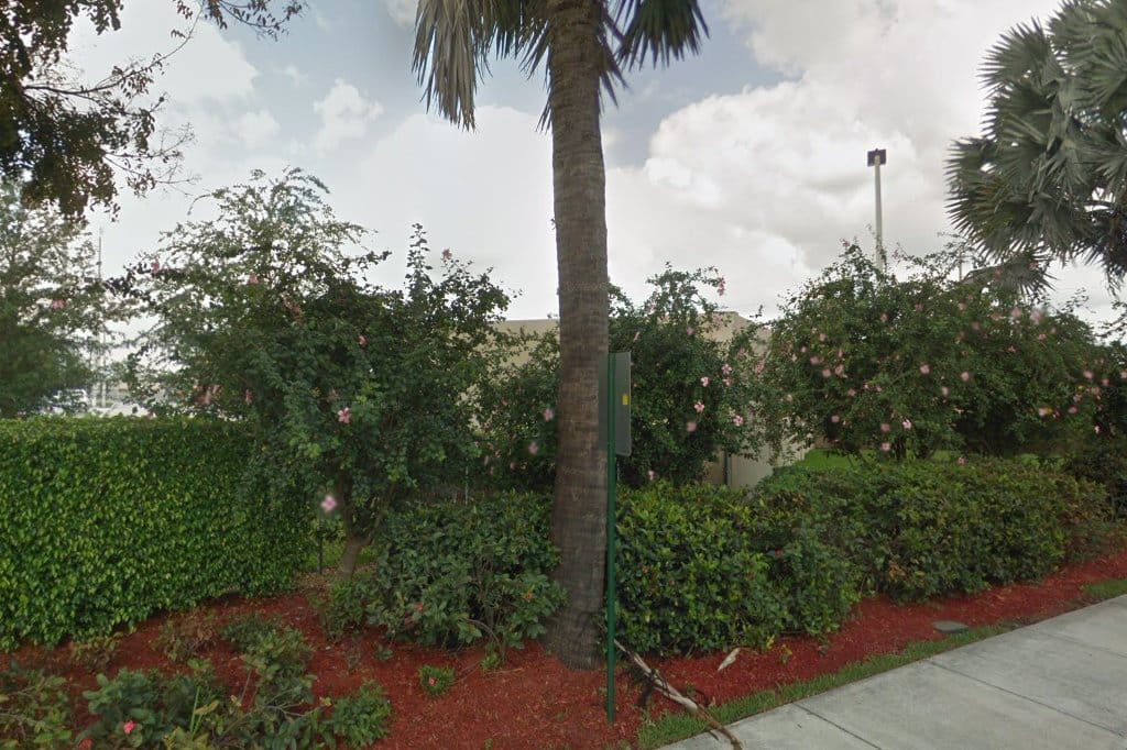Dolphin Bay Elementary School