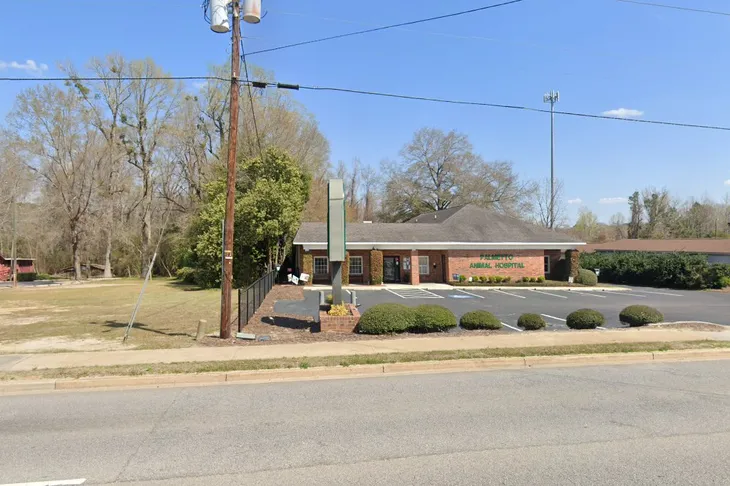 Palmetto Animal Hospital