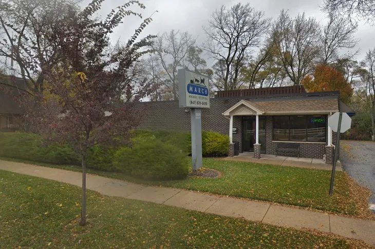 March Animal Hospital