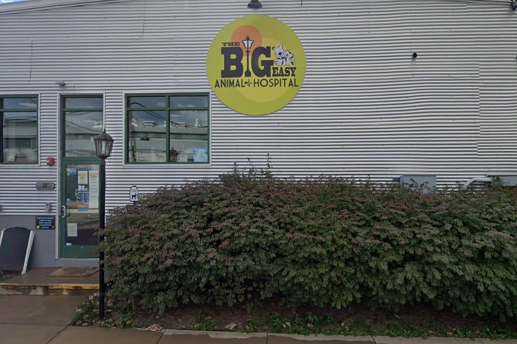 The Big Easy Animal Hospital