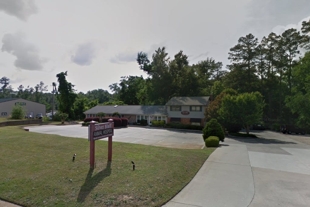 Silver Bluff Animal Hospital