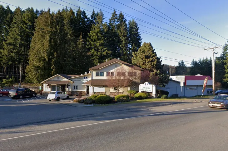 All Creatures Animal Hospital