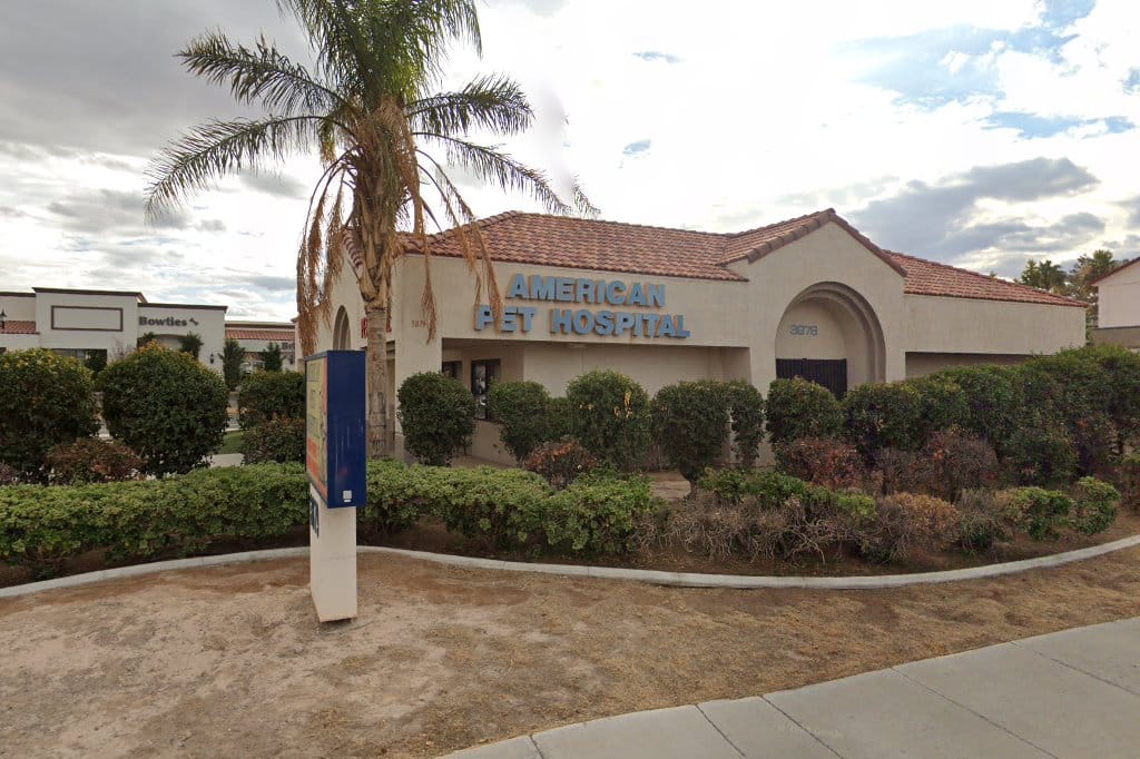 American Pet Hospital