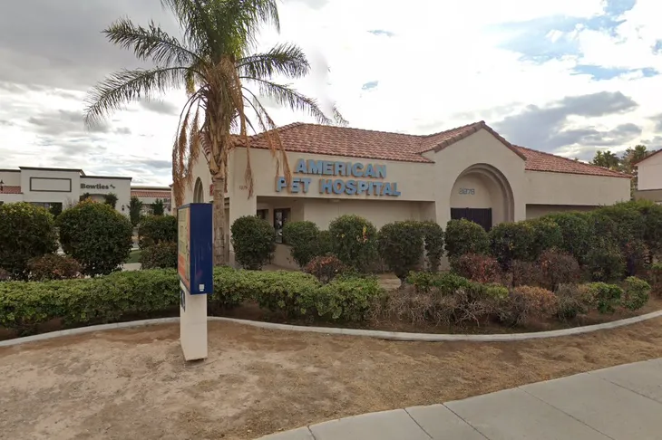 American Pet Hospital