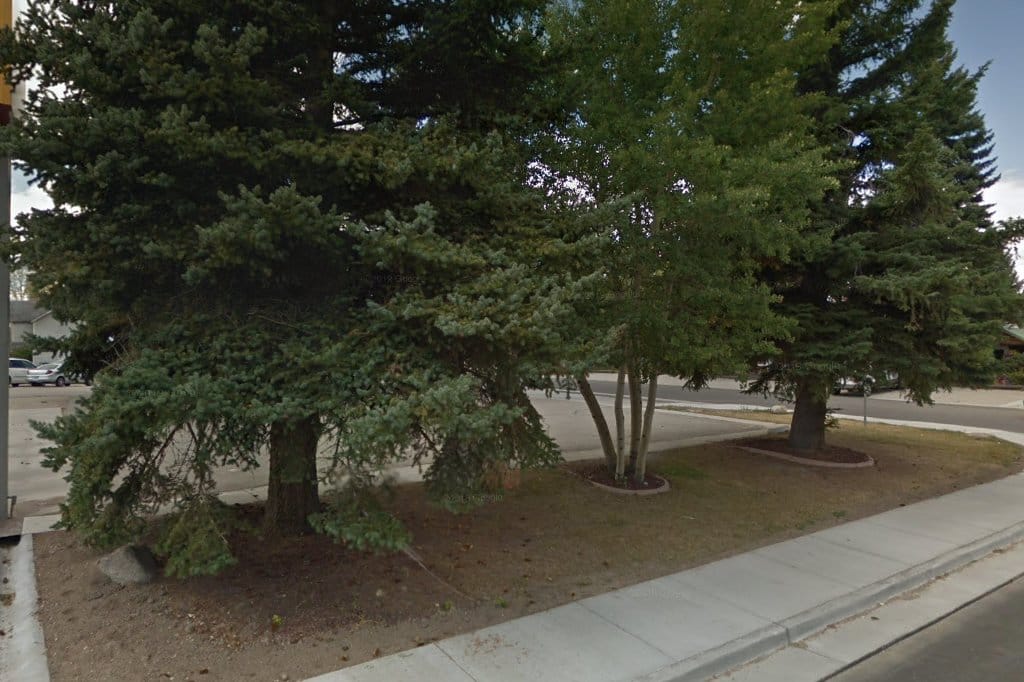 Pinedale Circuit Court