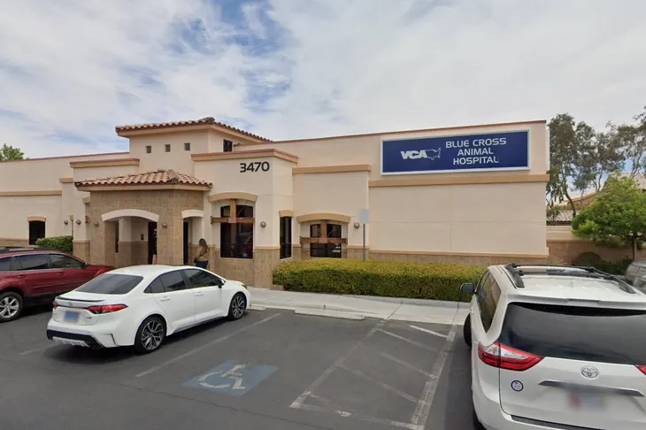Blue Cross Animal Hospital