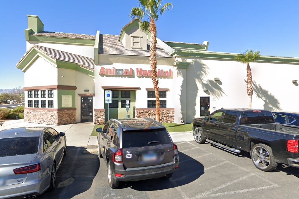 Animal Hospital in North Las Vegas, NV The County Office