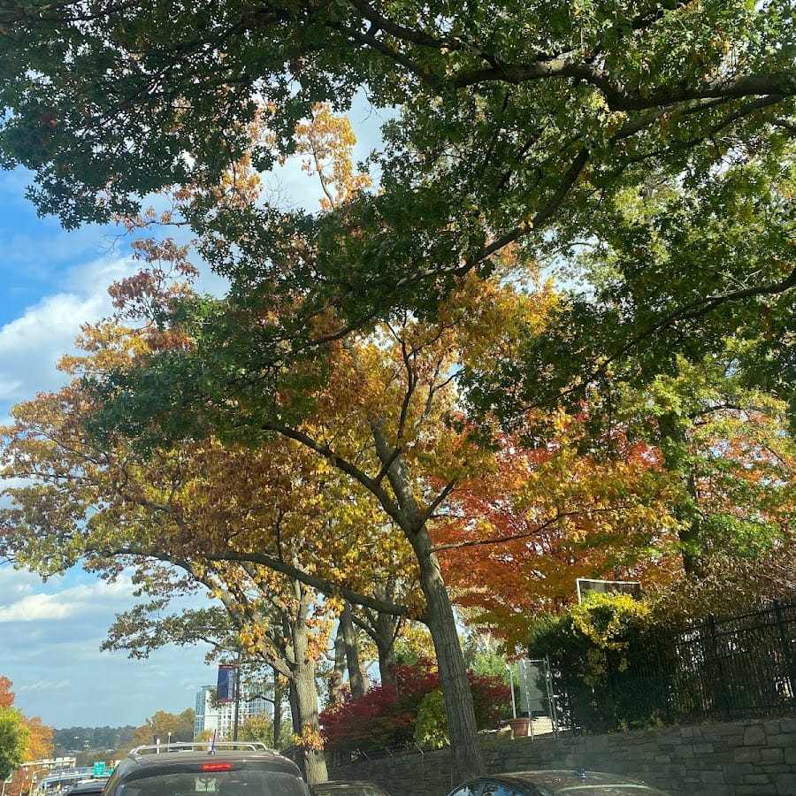 Philadelphia College of Osteopathic Medicine
