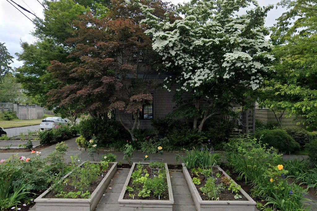 Tilden School