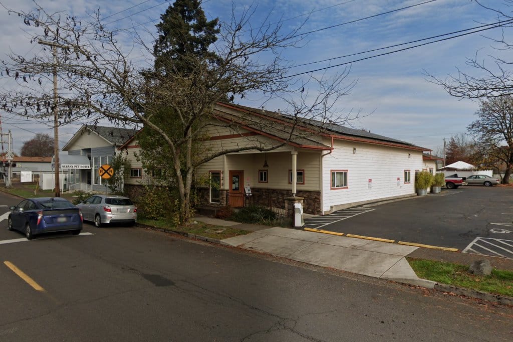 Albany Animal Hospital