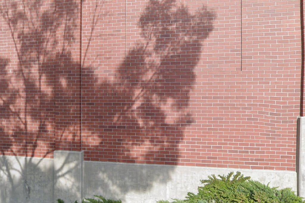 Tops K-8 School