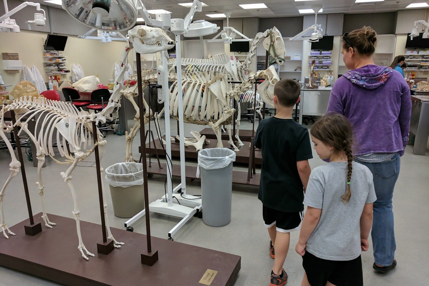 OSU Veterinary Teaching Hospital