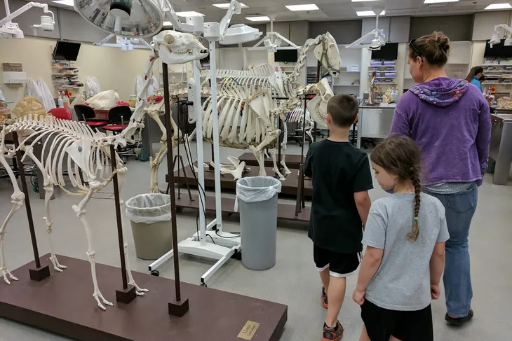 OSU Veterinary Teaching Hospital
