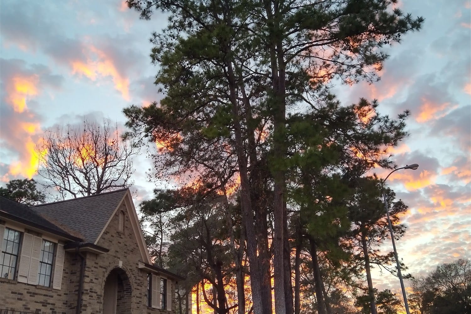 Panther Creek Passport Office In Spring TX The County Office panther-creek-passport-office-in-spring-tx-the-county-office