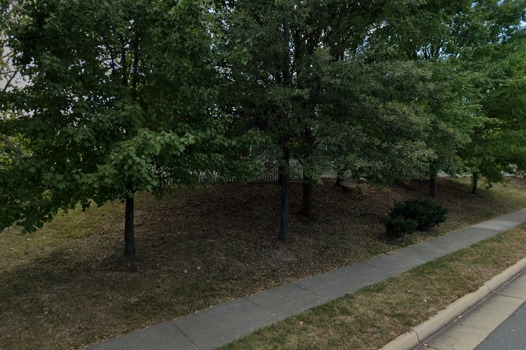 Montessori Academy at Belmont Greene