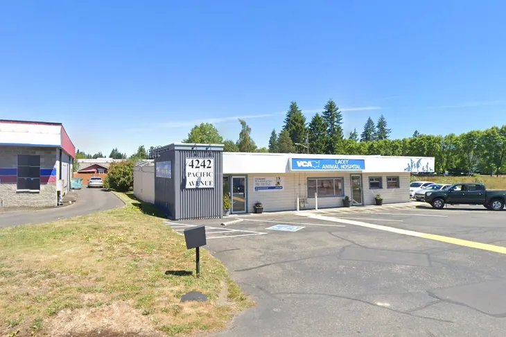 VCA Lacey Animal Hospital