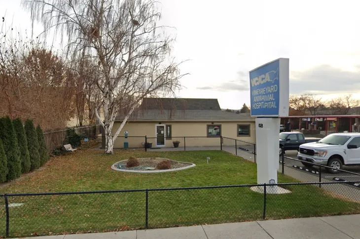 VCA Vineyard Animal Hospital