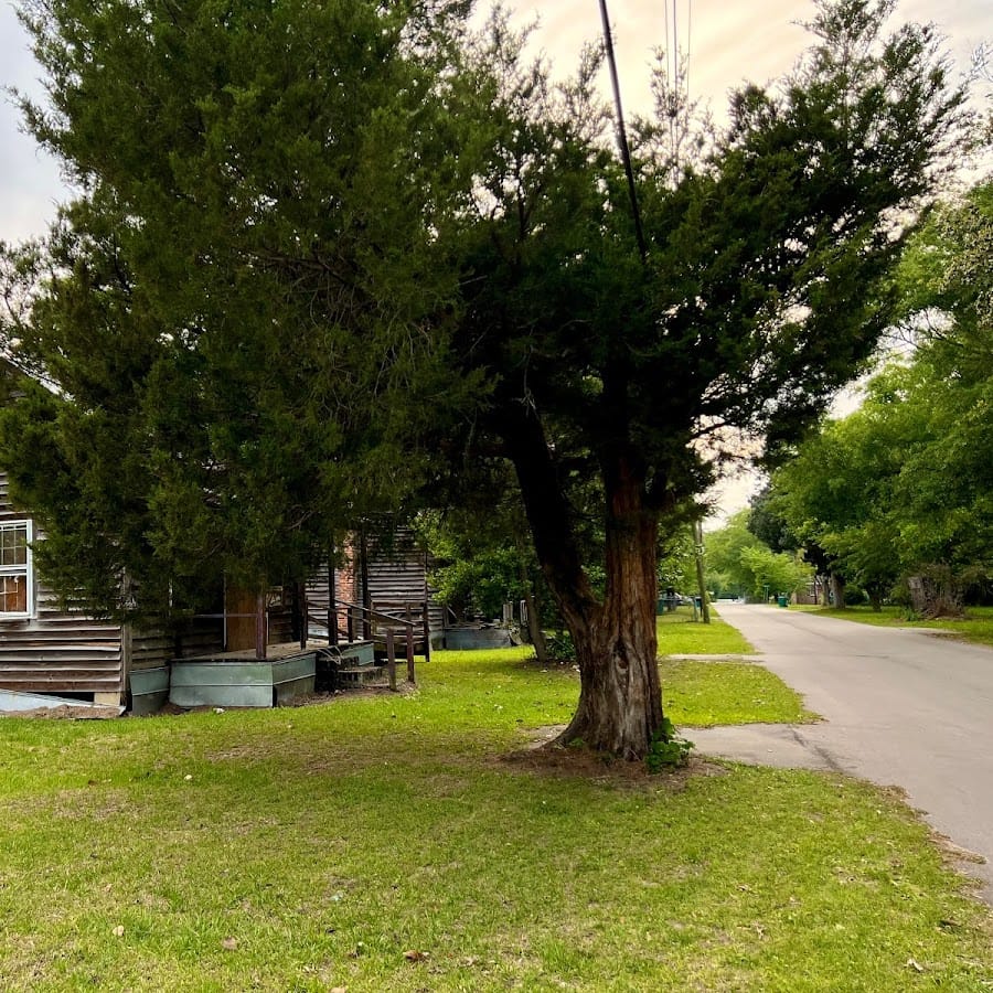 Manning Primary School