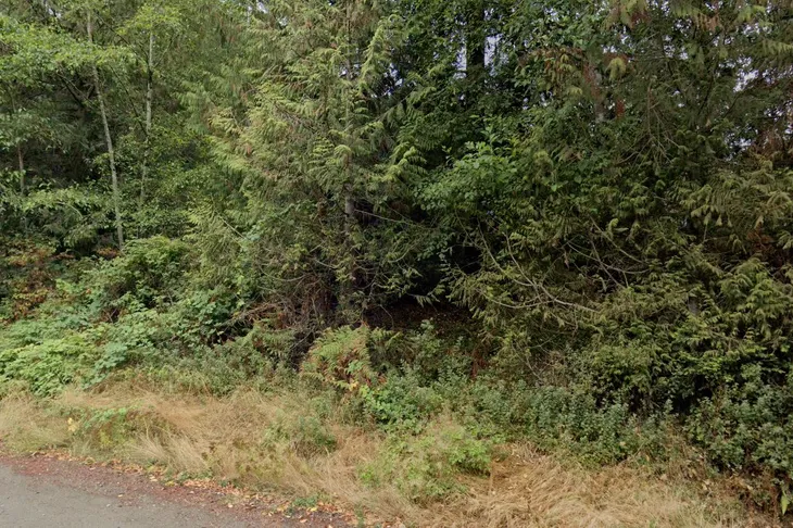 Silverdale Animal Control