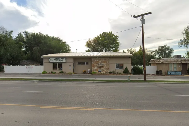 Alta Veterinary Hospital
