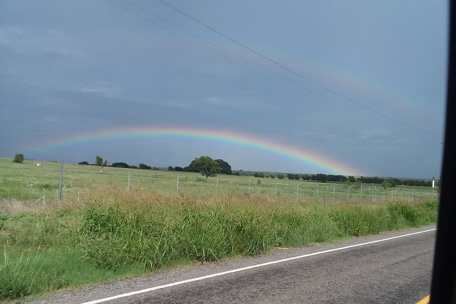 Brazos Valley Equine Hospital
