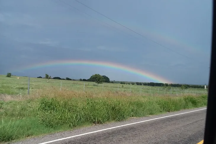 Brazos Valley Equine Hospital