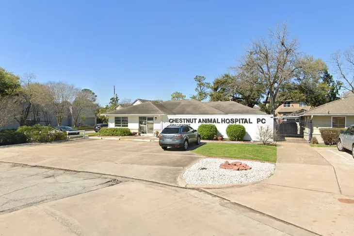 Chestnut Animal Hospital