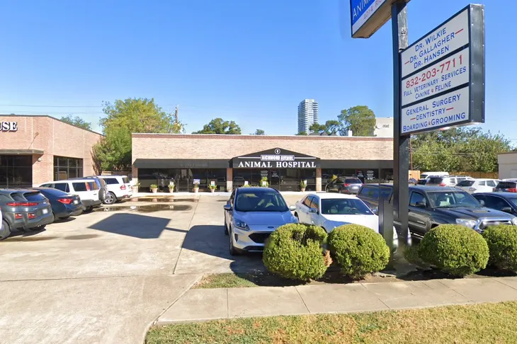 Richmond Avenue Animal Hospital