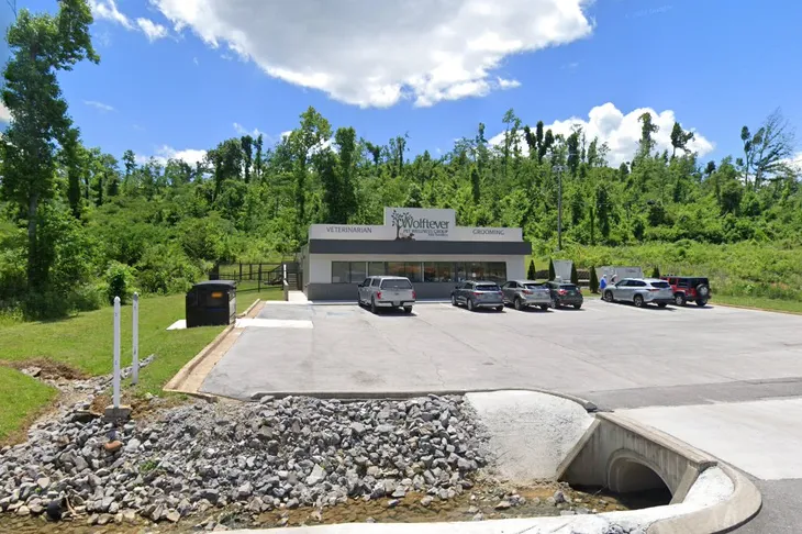 Standifer Gap Pet Hospital