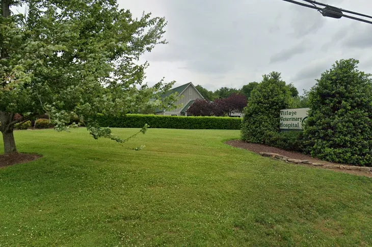 Village Veterinary Hospital
