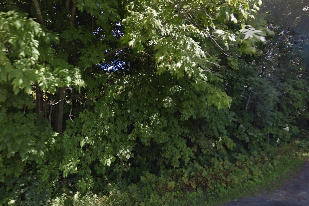 Waterbury Veterinary Hospital
