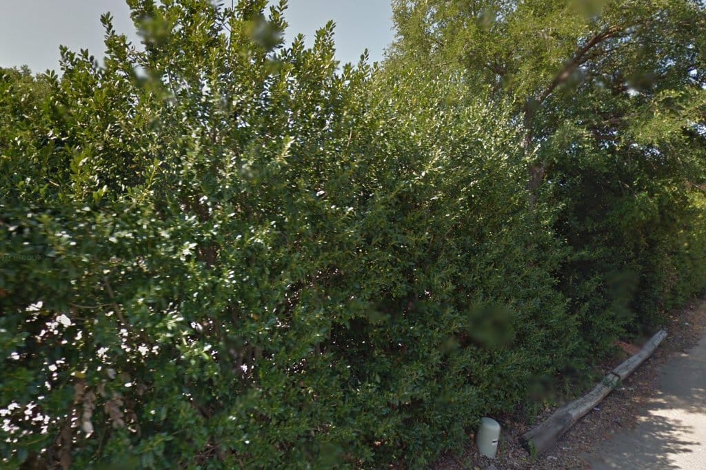 Beth Torah Preschool & Kindergarten