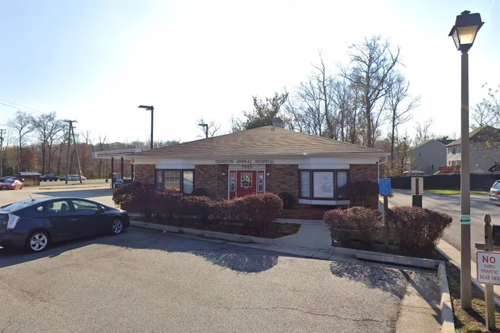 Gunston Animal Hospital