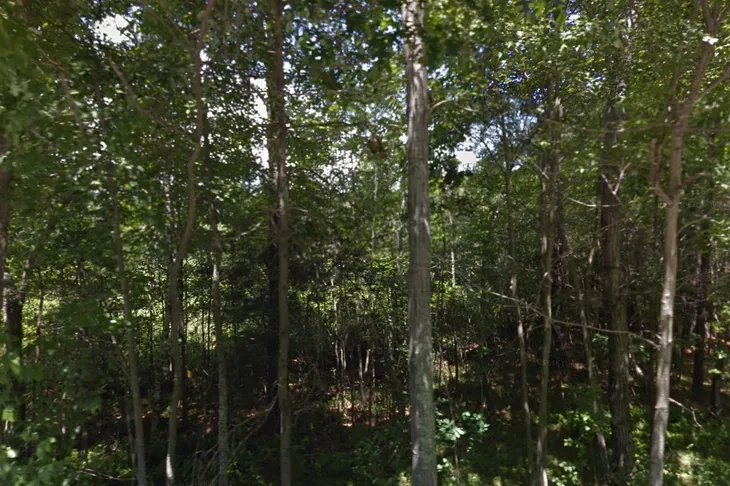 Harrisville Animal Shelter