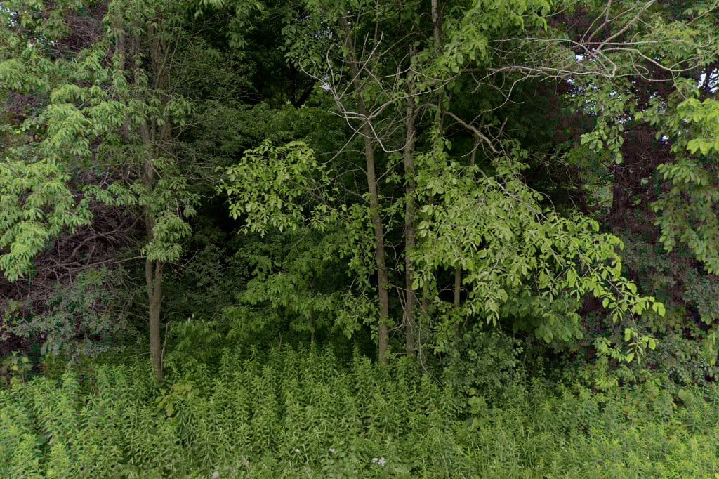Flambeau Correctional Center