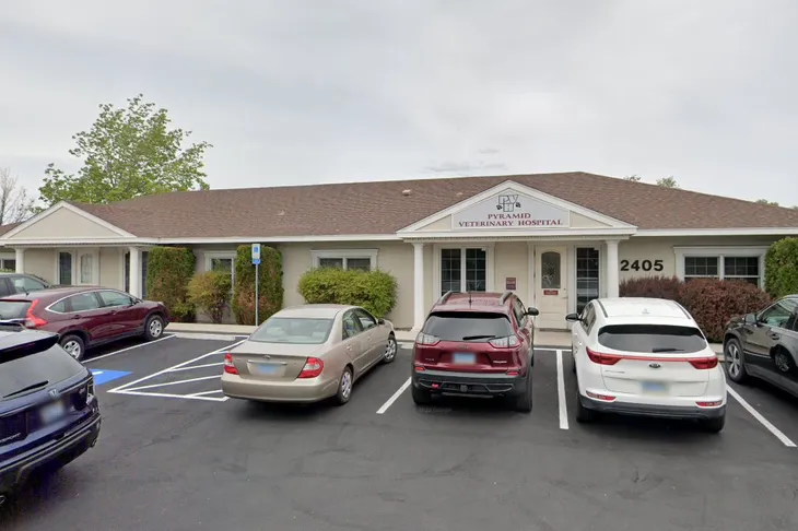 Pyramid Veterinary Hospital