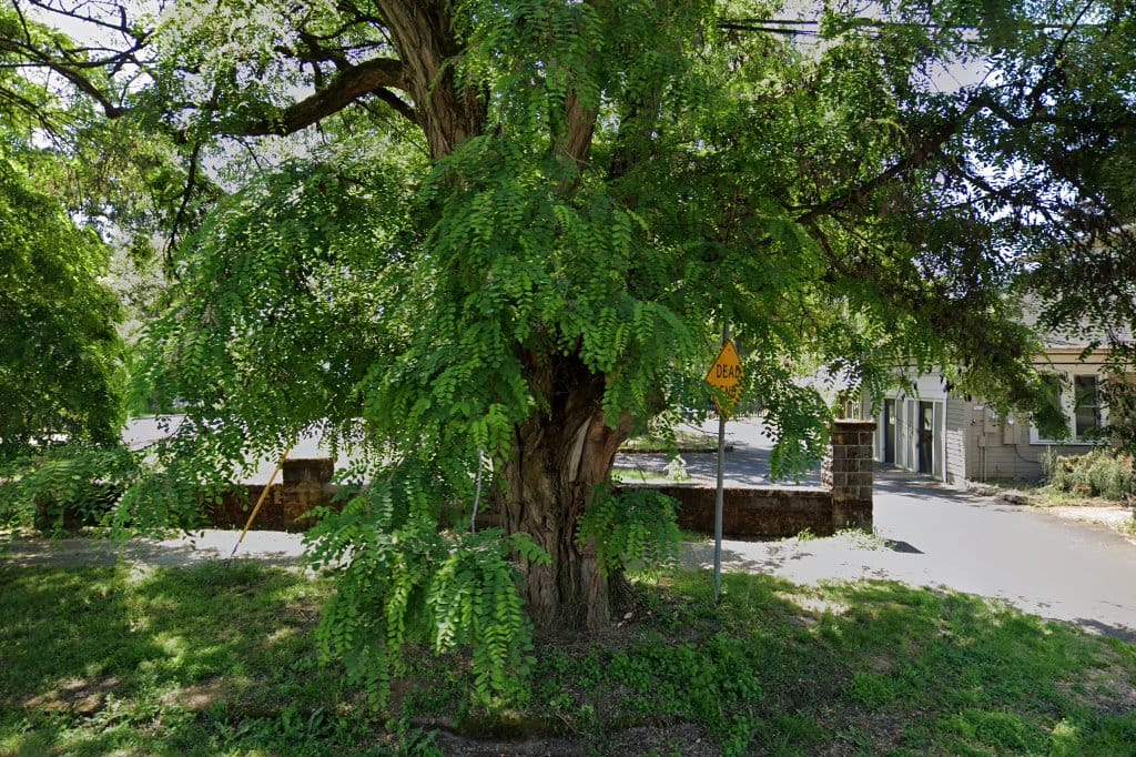 Open Meadow High School