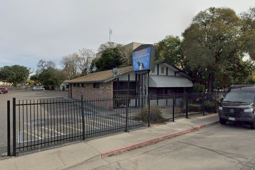 Pacific Veterinary Hospital