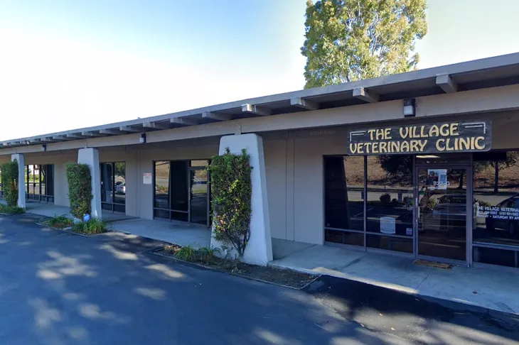 The Village Veterinary Hospital