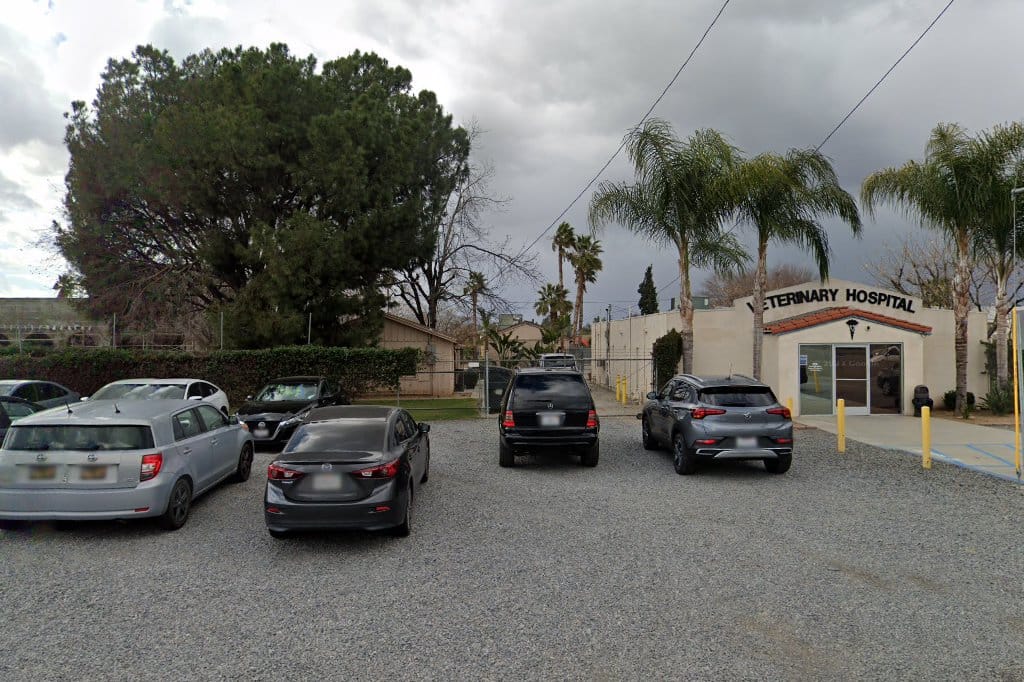 Animal Hospitals in Riverside, CA Pets TheCountyOffice