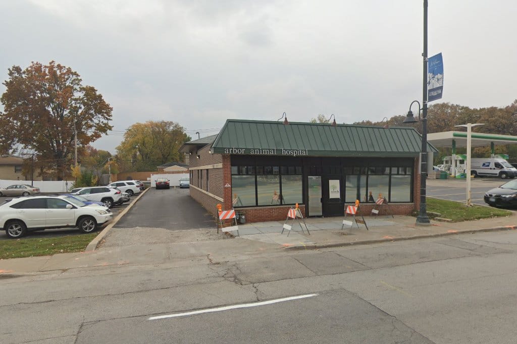 Arbor Animal Hospital