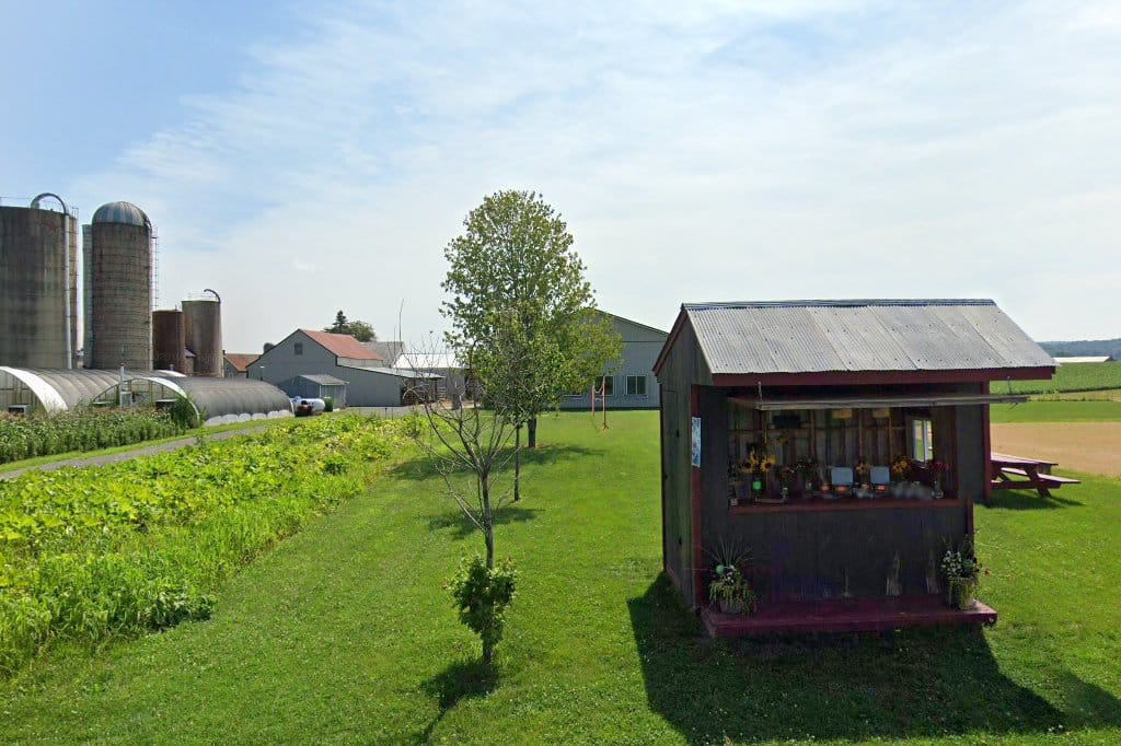 Oak Haven School